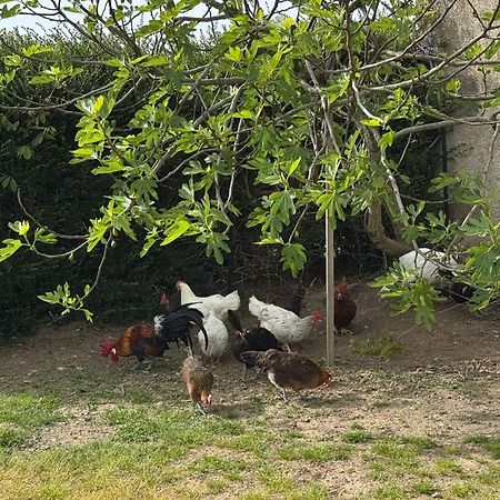 Gite A La Ferme Le Rousset المظهر الخارجي الصورة